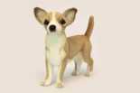 Plüschtier Chihuahua, Stofftier Chihuahua, Kuscheltier Chihuahua, Plüsch Chihuahua, Stoff Chihuahua, Chihuahua HANSA Toy 6295